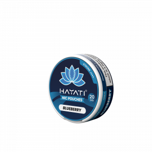 Hayati nic pouches Blueberry