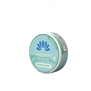Hayati nic pouches Frosted mint